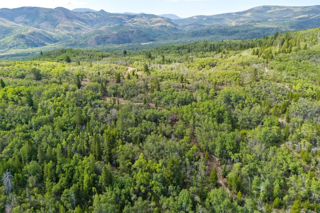 Tbd Tract A Tbd Anaconda MT 59711
