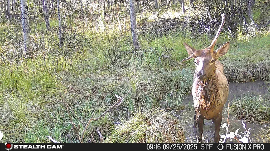 Tbd Tract A Tbd Anaconda MT 59711