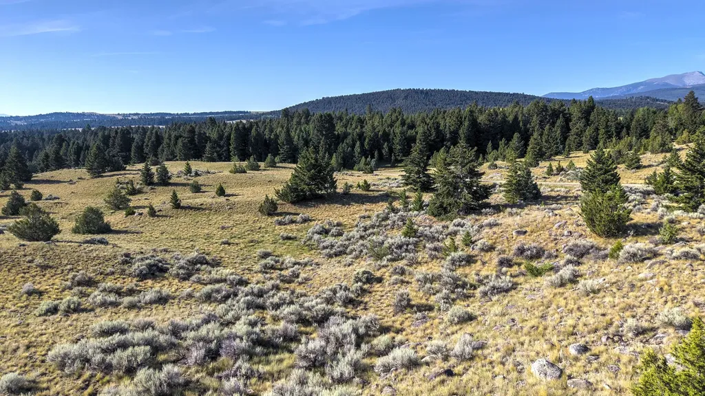 Nhn Lot 45a Phase 3 Pintler View Road Deer Lodge MT 59722