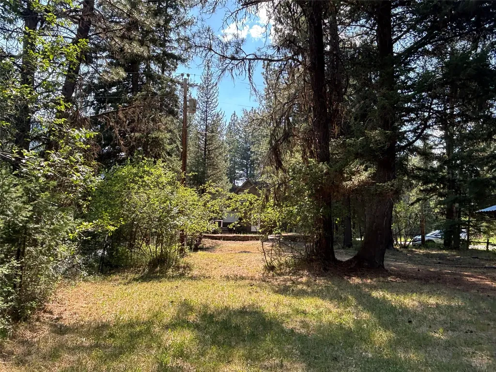 7076 Nez Perce Road Darby MT 59829