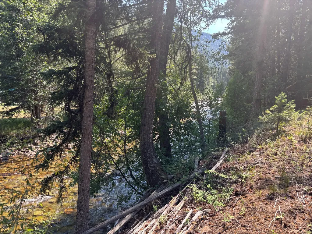 7076 Nez Perce Road Darby MT 59829