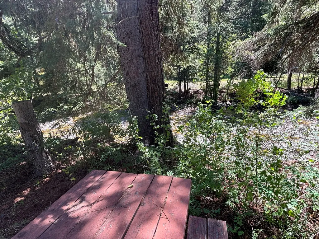7076 Nez Perce Road Darby MT 59829