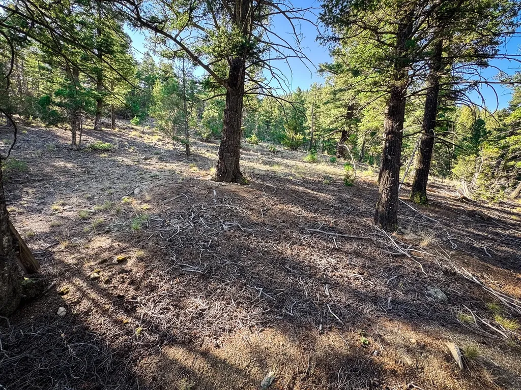 336 Quintana Lane Boulder MT 59632