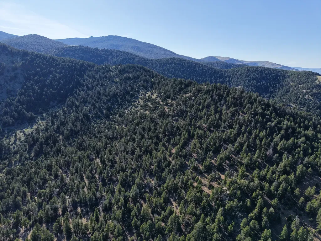 336 Quintana Lane Boulder MT 59632