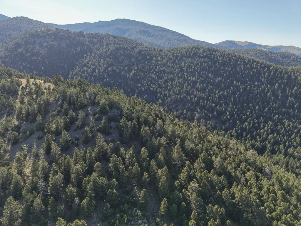 336 Quintana Lane Boulder MT 59632