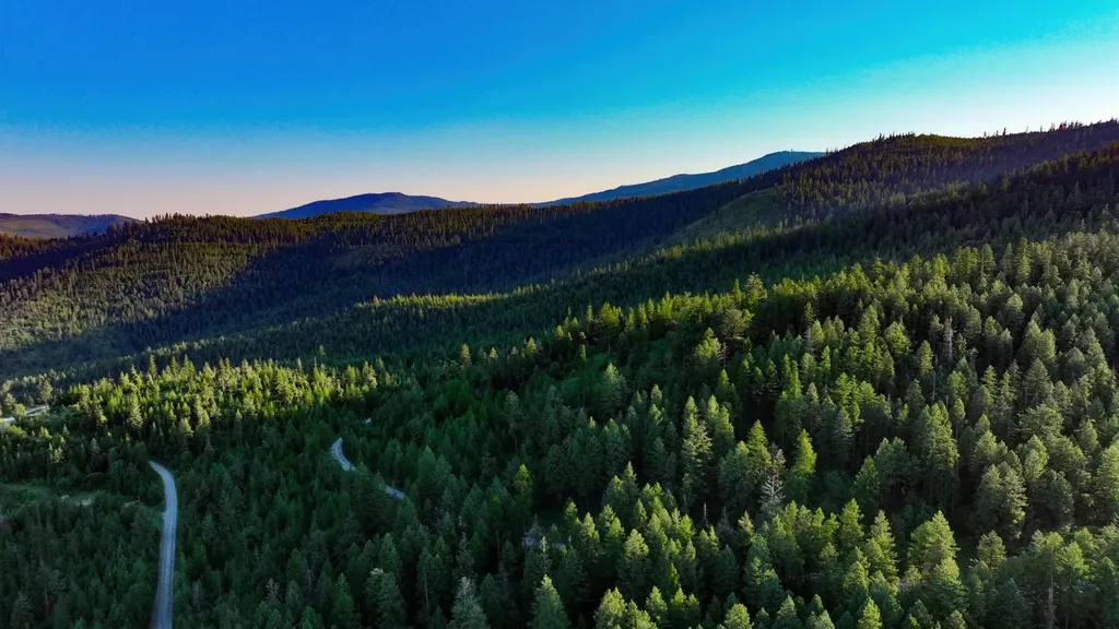 Tract 1 Cramer Creek Road Somers MT 59932