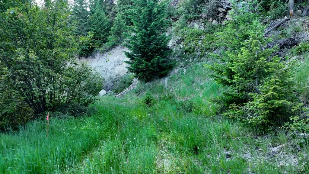 Tract 1 Cramer Creek Road Somers MT 59932