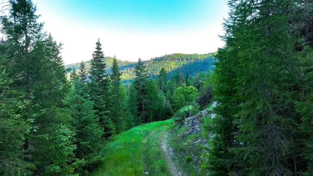 Tract 1 Cramer Creek Road Somers MT 59932