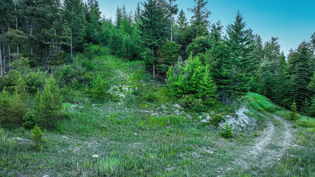Tract 1 Cramer Creek Road Somers MT 59932