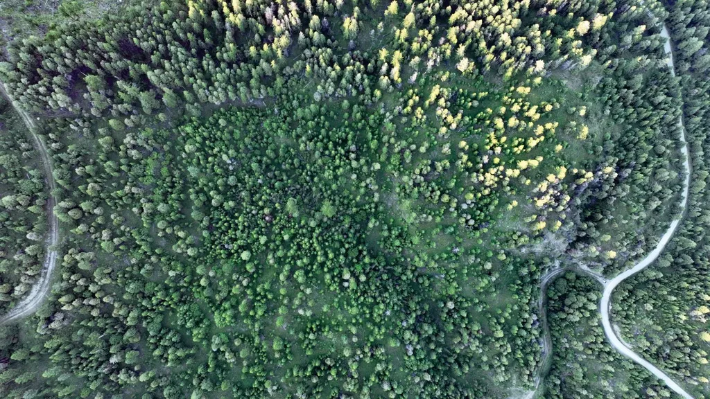 Tract 1 Cramer Creek Road Somers MT 59932