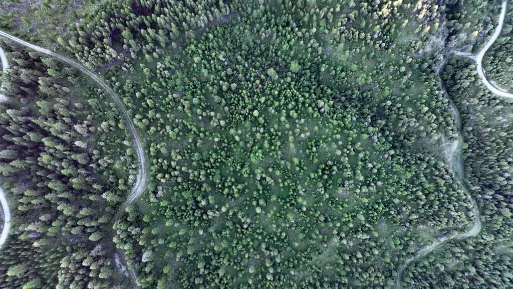 Tract 1 Cramer Creek Road Somers MT 59932