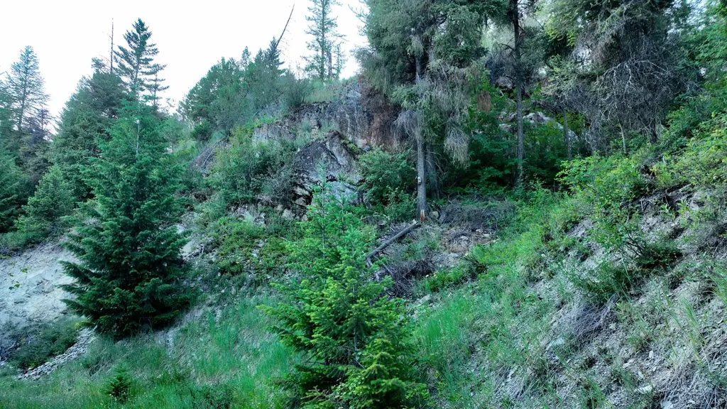 Tract 1 Cramer Creek Road Somers MT 59932