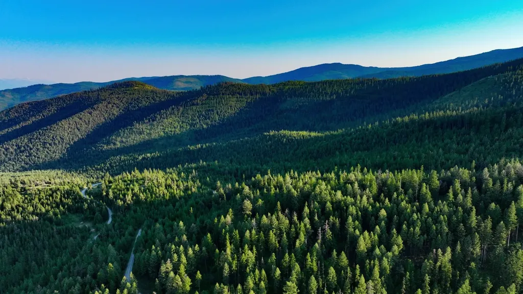Tract 1 Cramer Creek Road Somers MT 59932
