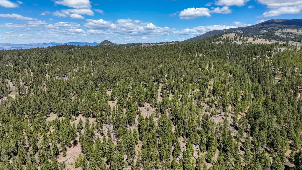 617 Mcclellan Creek Road Clancy MT 59634