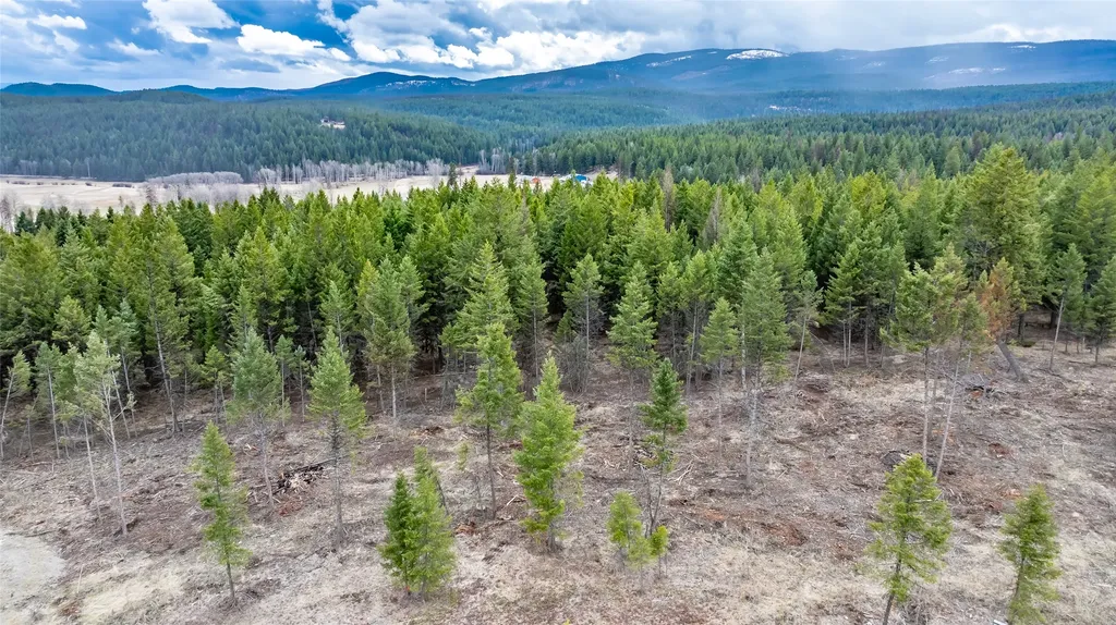 Nhn Lot #34 Osprey Loop Eureka MT 59917