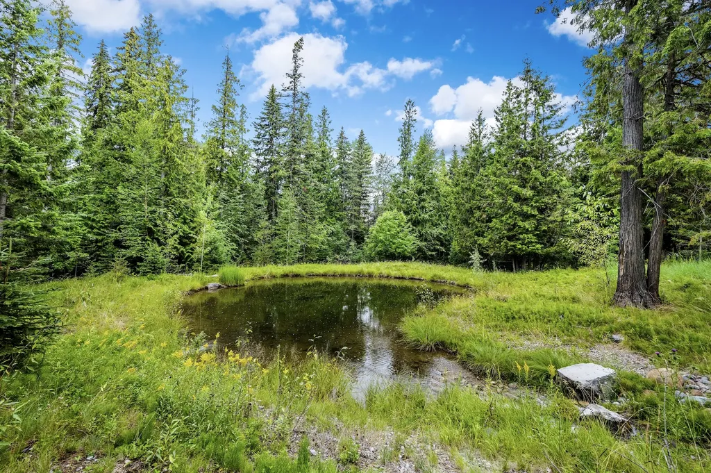 90 Woodland Star Circle Whitefish MT 59937
