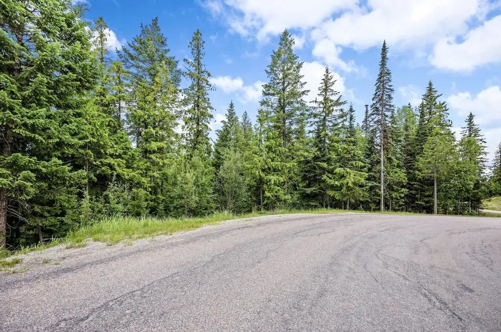 90 Woodland Star Circle Whitefish MT 59937
