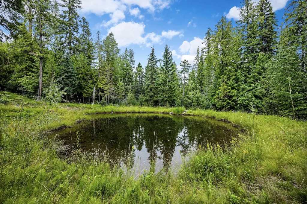 90 Woodland Star Circle Whitefish MT 59937