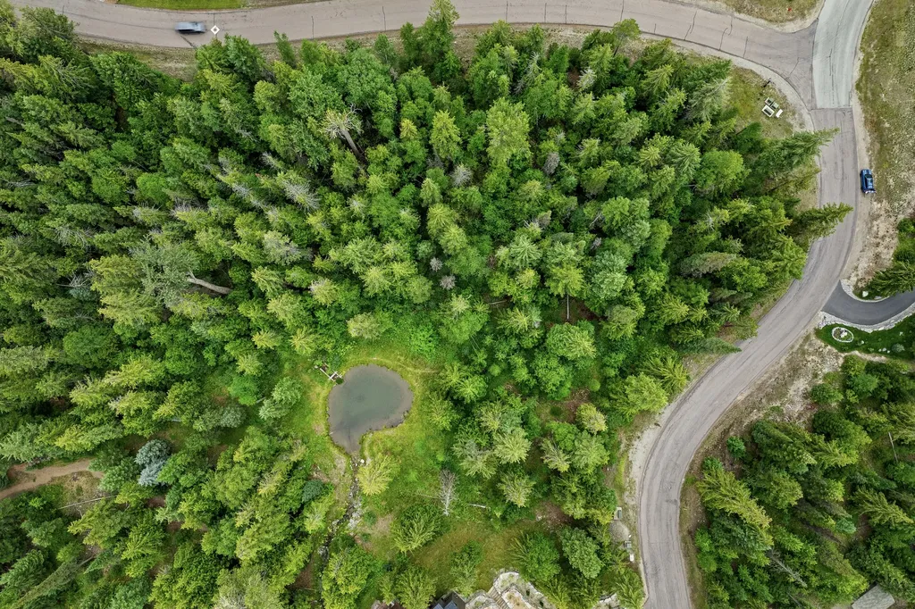 90 Woodland Star Circle Whitefish MT 59937