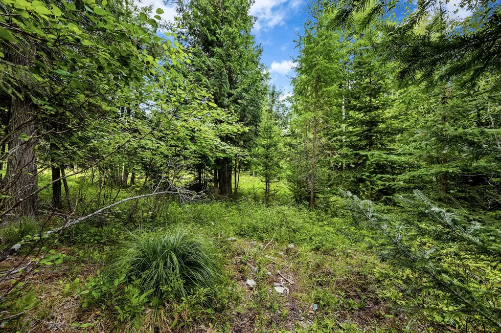 90 Woodland Star Circle Whitefish MT 59937