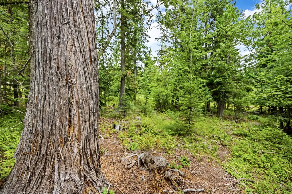 90 Woodland Star Circle Whitefish MT 59937