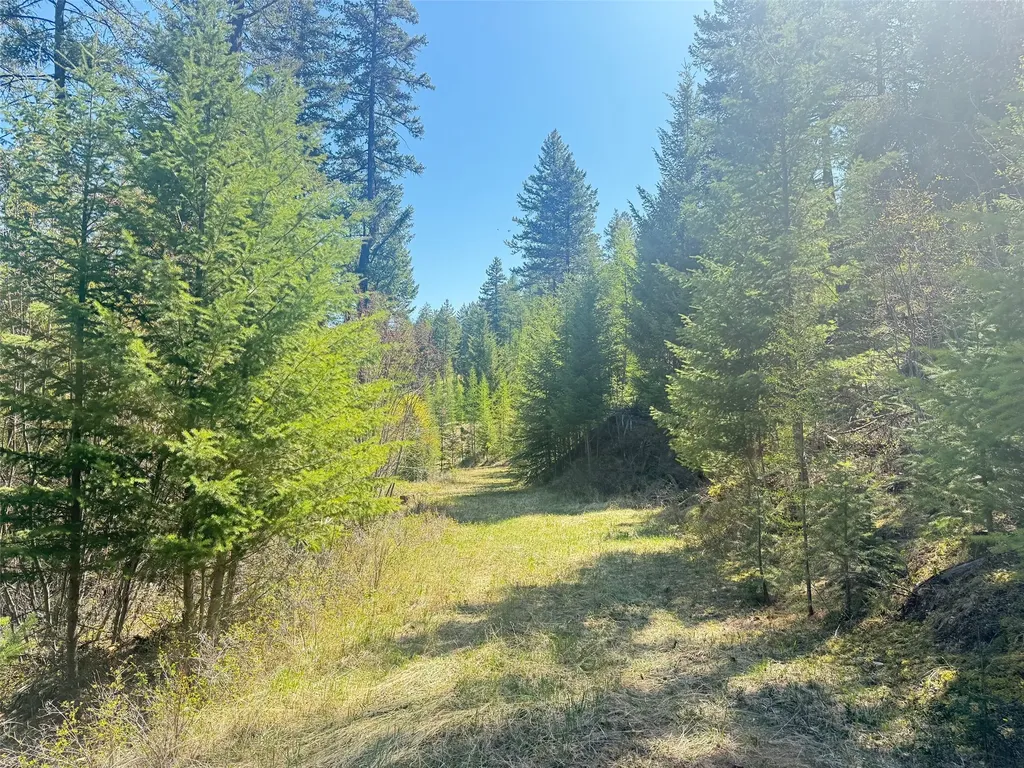 Nhn Whitetail Ridge Road Kila MT 59920