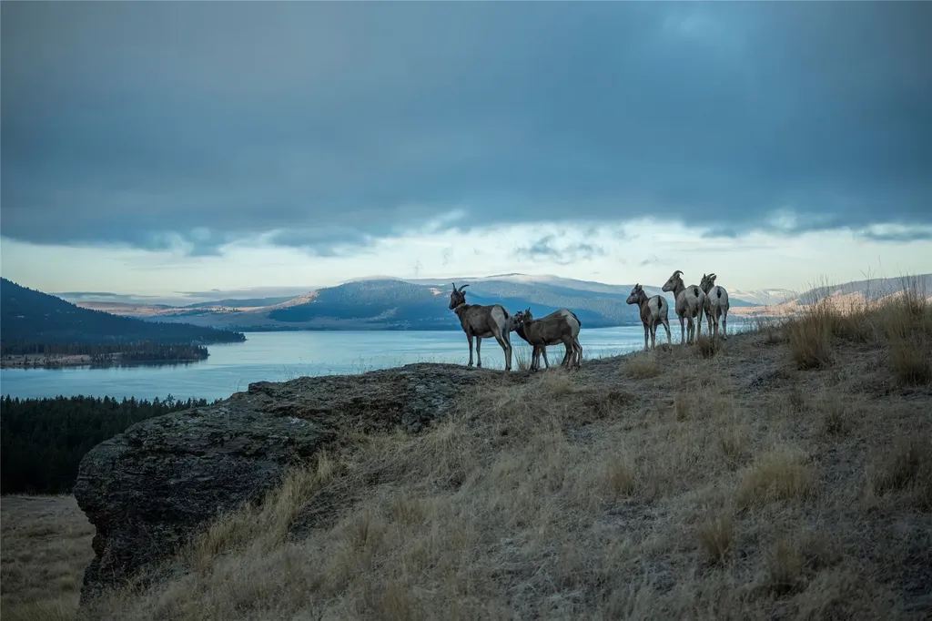 44625 Wild Horse Island Lane Dayton MT 59914