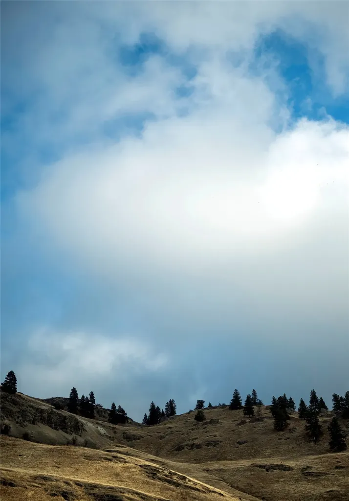 44625 Wild Horse Island Lane Dayton MT 59914