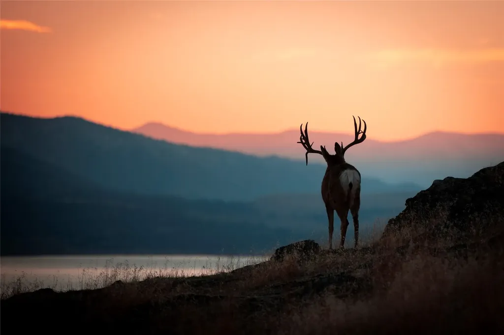 44625 Wild Horse Island Lane Dayton MT 59914