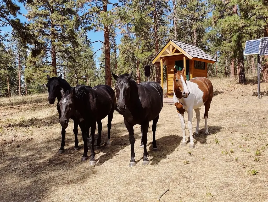 44625 Wild Horse Island Lane Dayton MT 59914