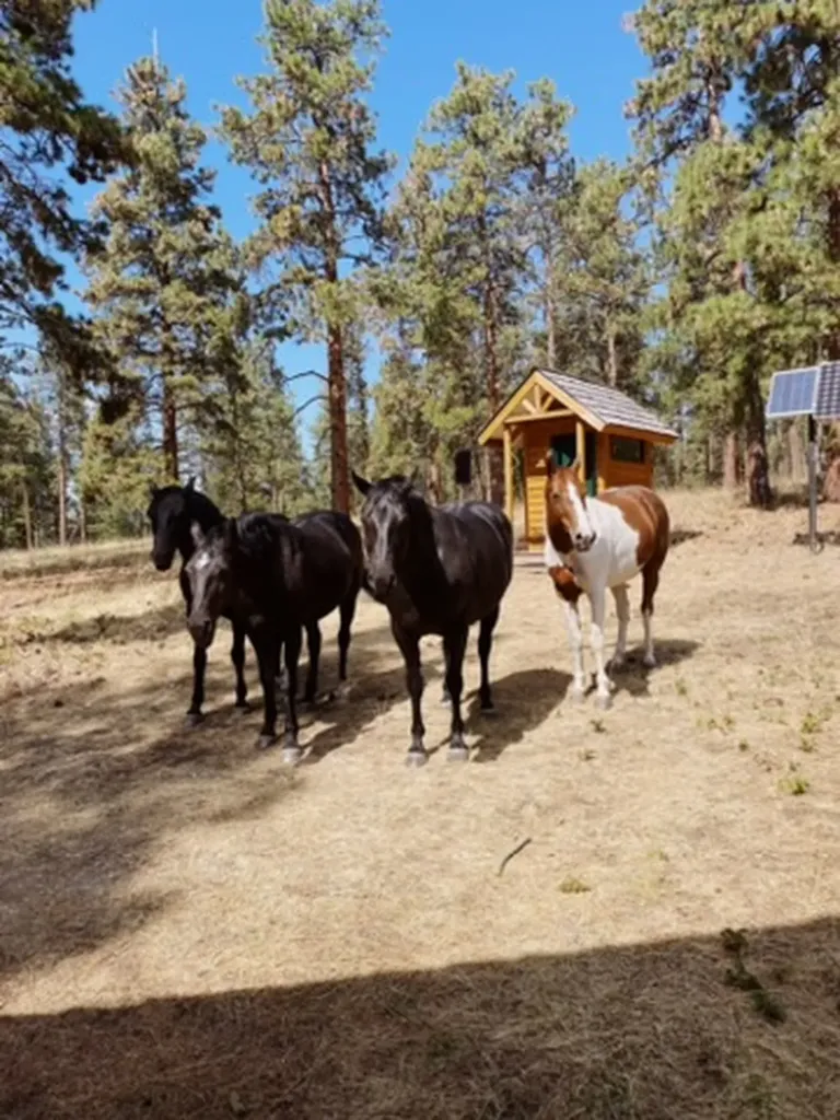 44625 Wild Horse Island Lane Dayton MT 59914