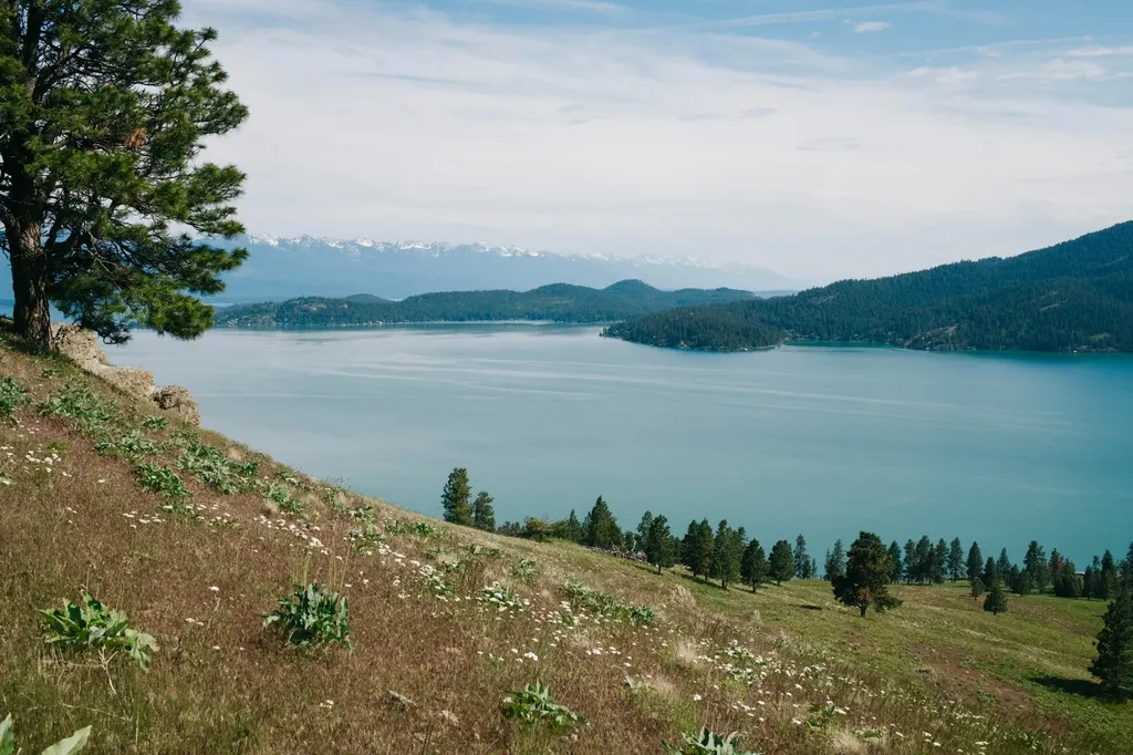 44625 Wild Horse Island Lane Dayton MT 59914