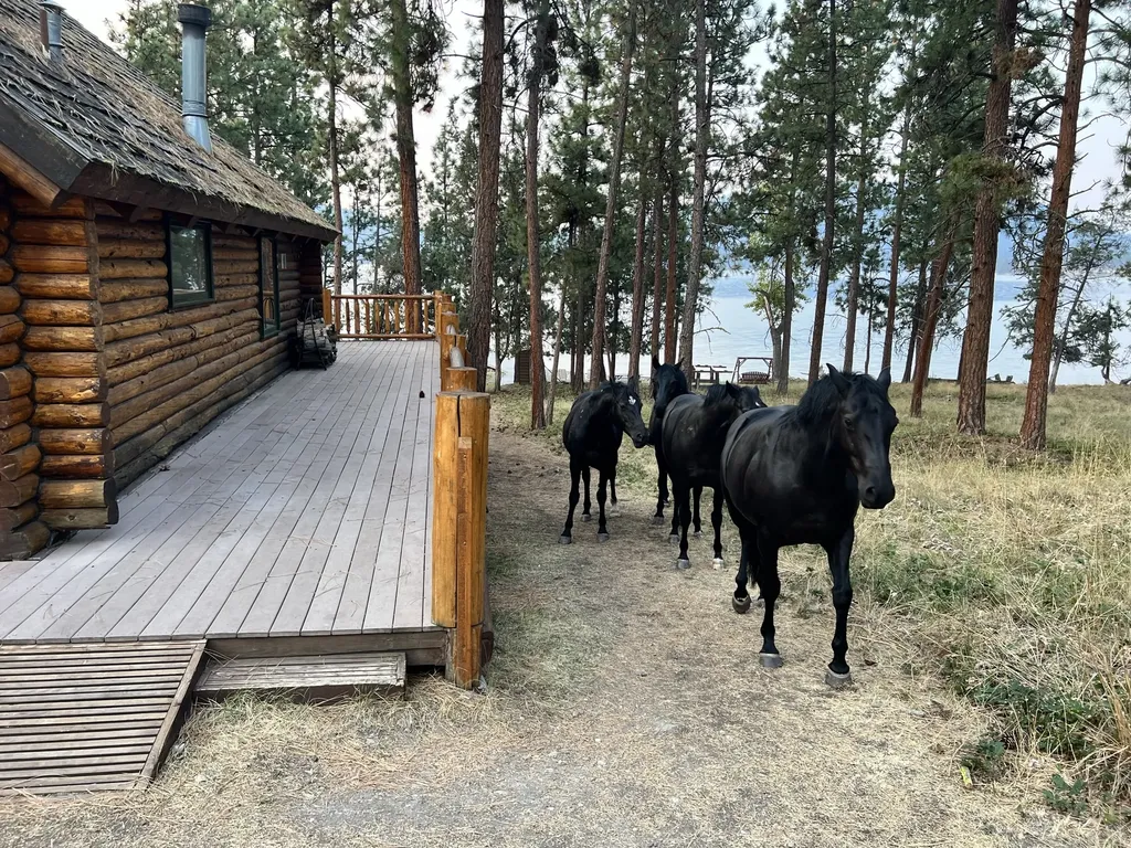 44625 Wild Horse Island Lane Dayton MT 59914