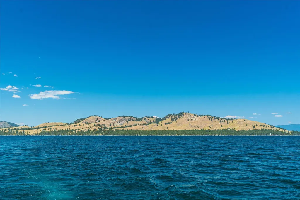 44625 Wild Horse Island Lane Dayton MT 59914
