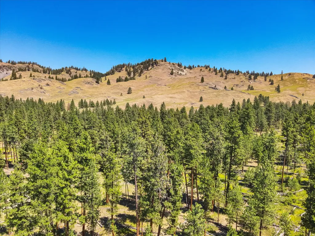 44625 Wild Horse Island Lane Dayton MT 59914