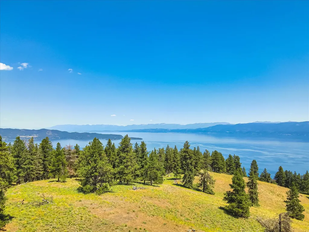 44625 Wild Horse Island Lane Dayton MT 59914