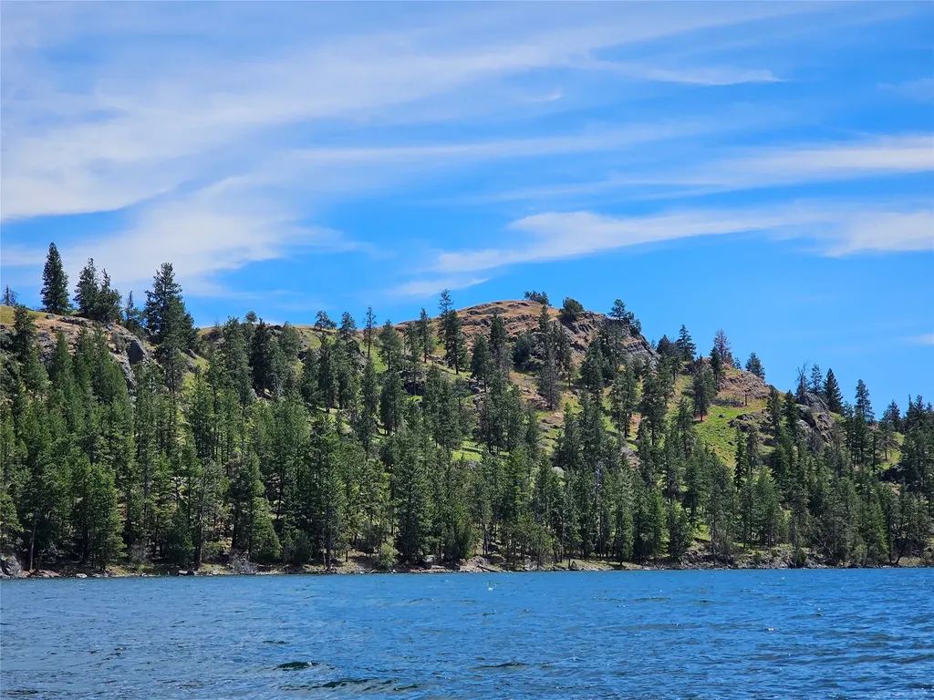 44625 Wild Horse Island Lane Dayton MT 59914