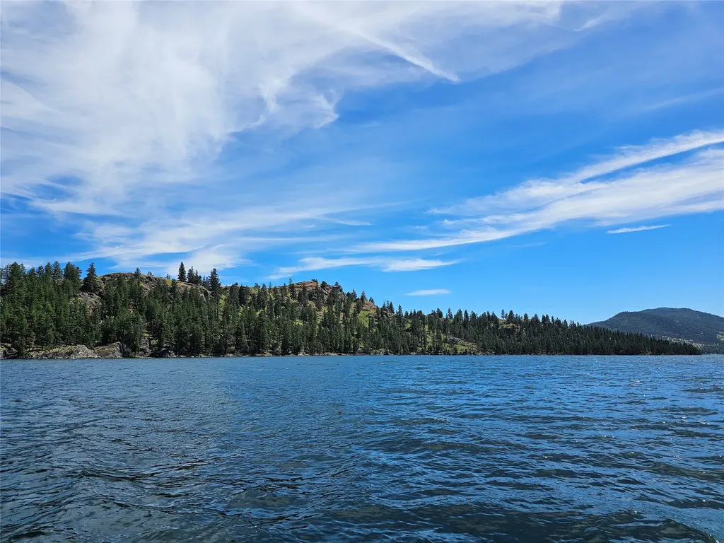 44625 Wild Horse Island Lane Dayton MT 59914