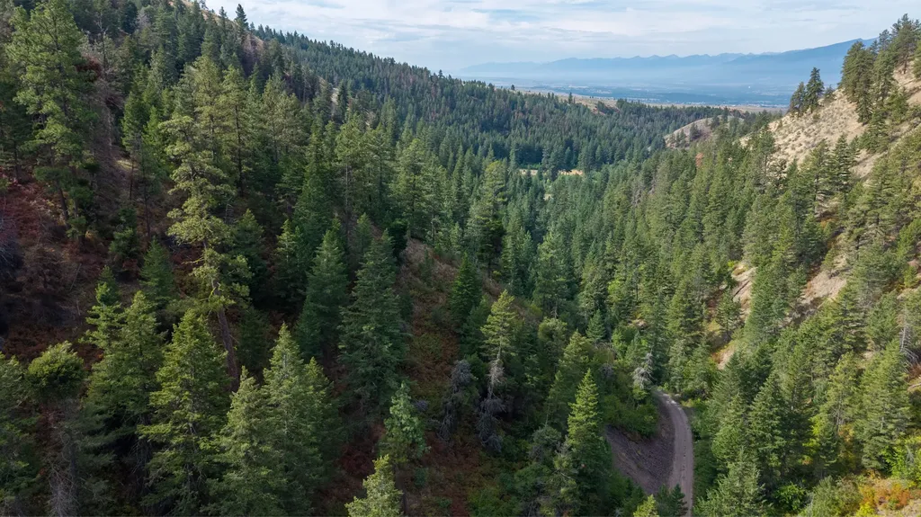 Nhn Copper Ridge Trail Florence MT 59833