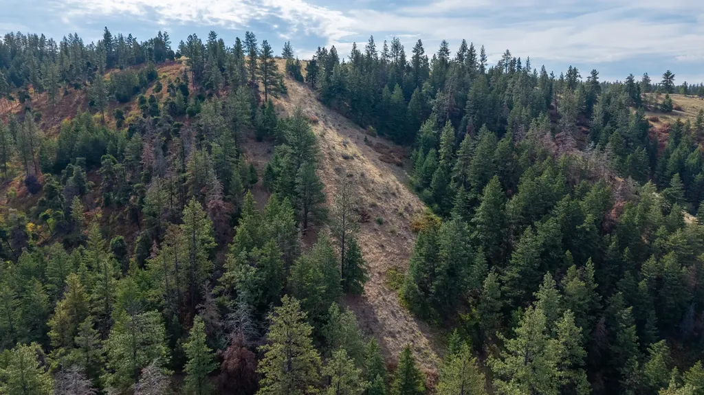 Nhn Copper Ridge Trail Florence MT 59833