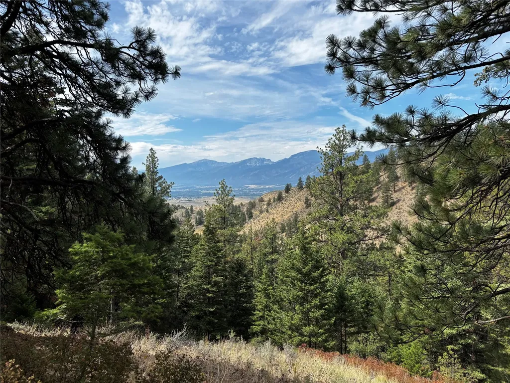 Nhn Copper Ridge Trail Florence MT 59833