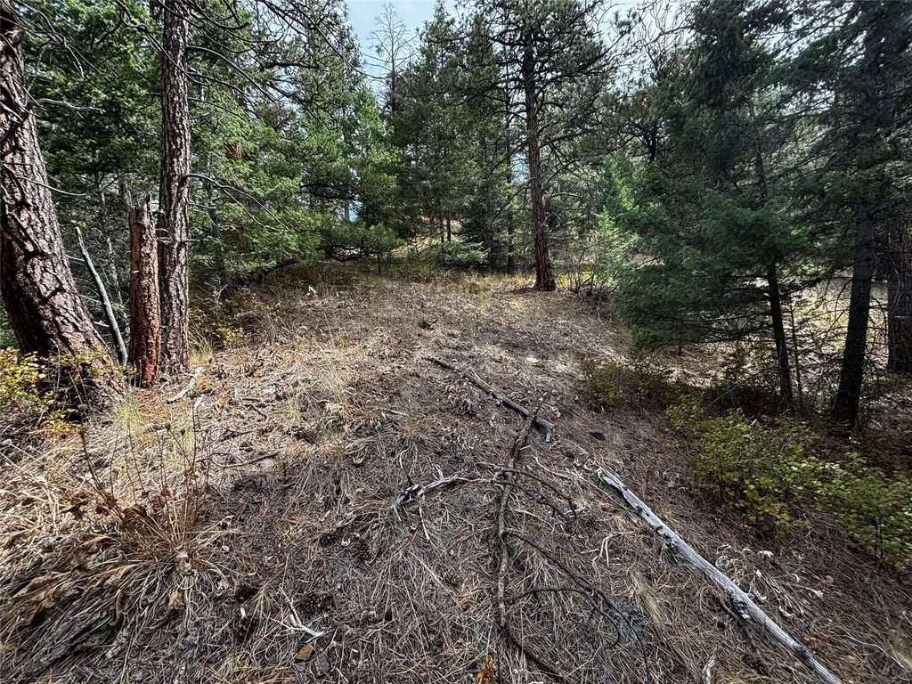 Nhn Copper Ridge Trail Florence MT 59833