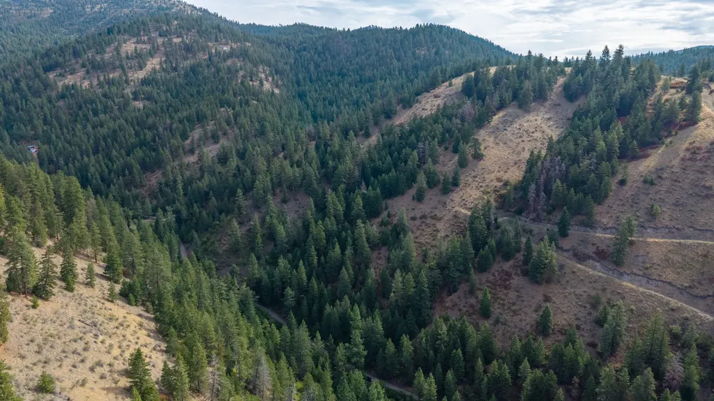 Nhn Copper Ridge Trail Florence MT 59833