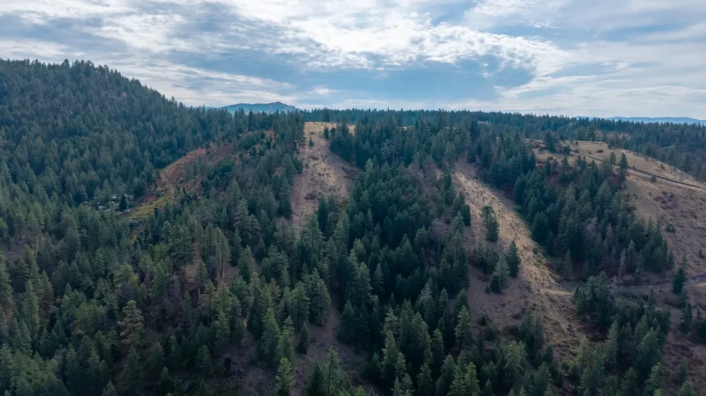 Nhn Copper Ridge Trail Florence MT 59833