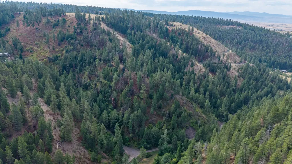 Nhn Copper Ridge Trail Florence MT 59833