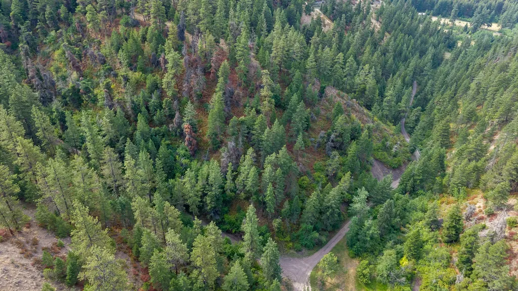 Nhn Copper Ridge Trail Florence MT 59833