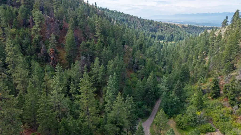 Nhn Copper Ridge Trail Florence MT 59833