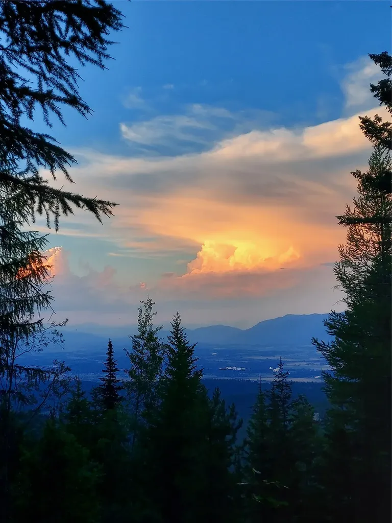 2470 Emmons Creek Road Kalispell MT 59901