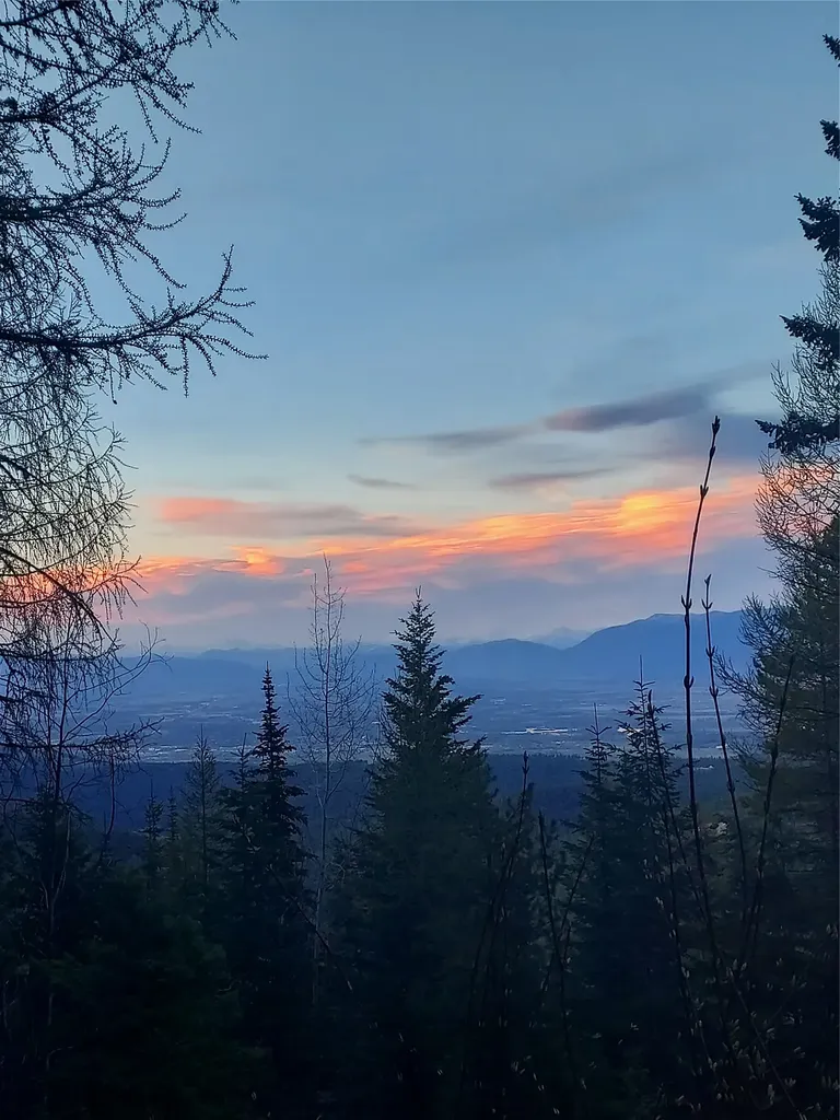 2470 Emmons Creek Road Kalispell MT 59901