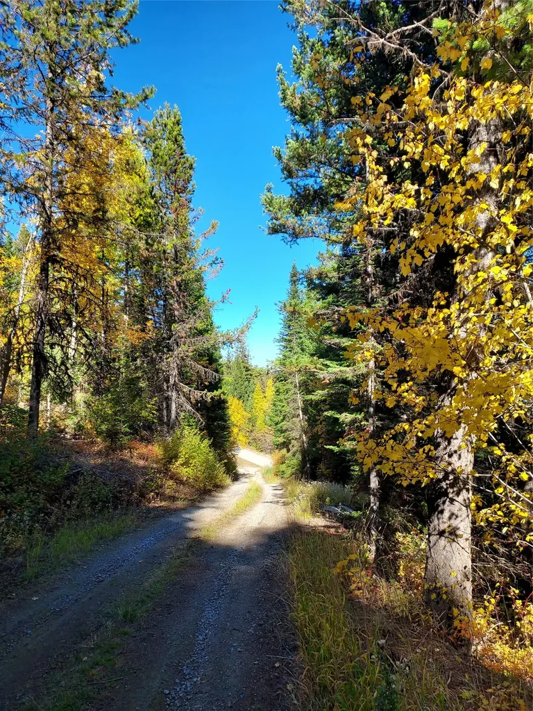 2470 Emmons Creek Road Kalispell MT 59901